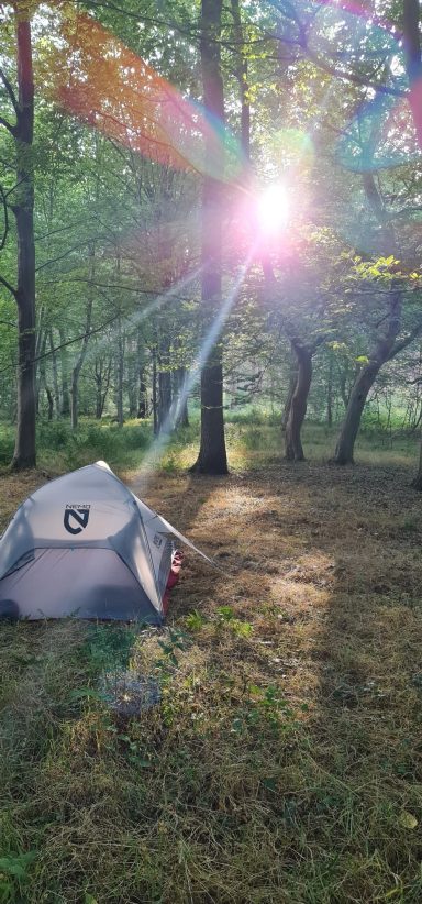 medium-magnetiseur-communication-animale-defunt-medecine-holistique-therapeute-animaux-energetique-sophrologue