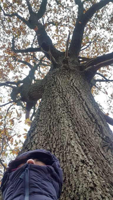 medium-magnetiseur-communication-animale-defunt-medecine-holistique-therapeute-animaux-energetique-sophrologue