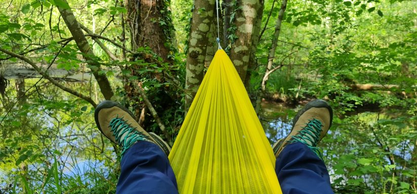 medium-magnetiseur-communication-animale-defunt-medecine-holistique-therapeute-animaux-energetique-sophrologue