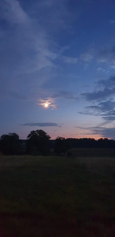 medium-magnetiseur-communication-animale-defunt-medecine-holistique-therapeute-animaux-energetique-sophrologue