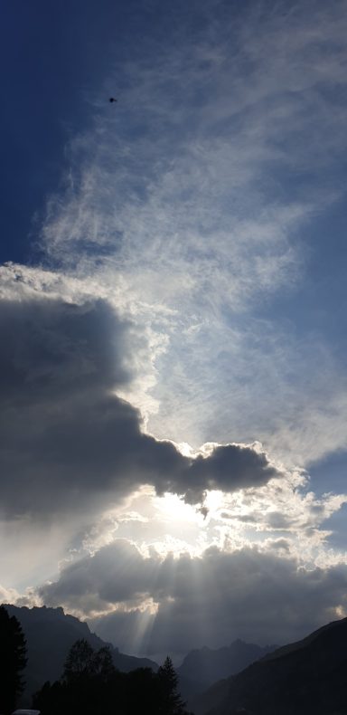 medium-magnetiseur-communication-animale-defunt-medecine-holistique-therapeute-animaux-energetique-sophrologue