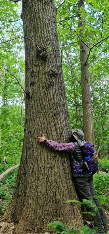 medium-magnetiseur-communication-animale-defunt-medecine-holistique-therapeute-animaux-energetique-sophrologue