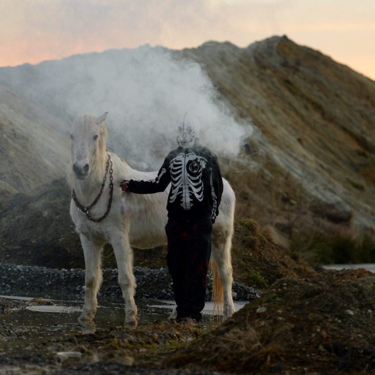 Bioénergie pour votre animal.