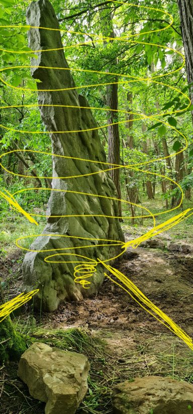 medium-magnetiseur-communication-animale-defunt-medecine-holistique-therapeute-animaux-energetique-sophrologue