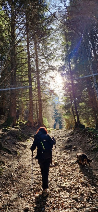 medium-magnetiseur-communication-animale-defunt-medecine-holistique-therapeute-animaux-energetique-sophrologue