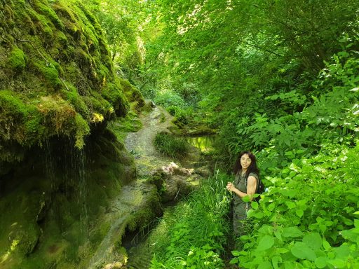 medium-magnetiseur-communication-animale-defunt-medecine-holistique-therapeute-animaux-energetique-sophrologue